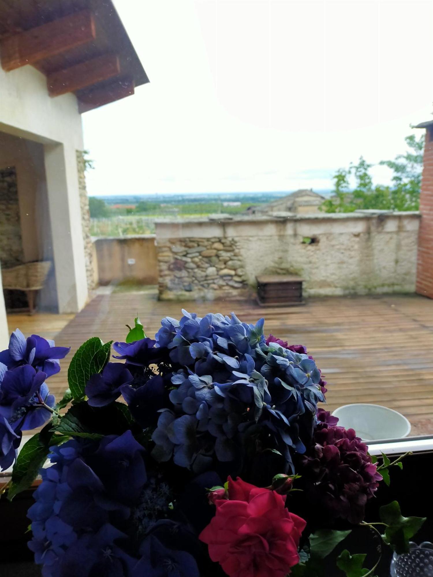 Villa Agriturismo Magnarosa à Barge Chambre photo